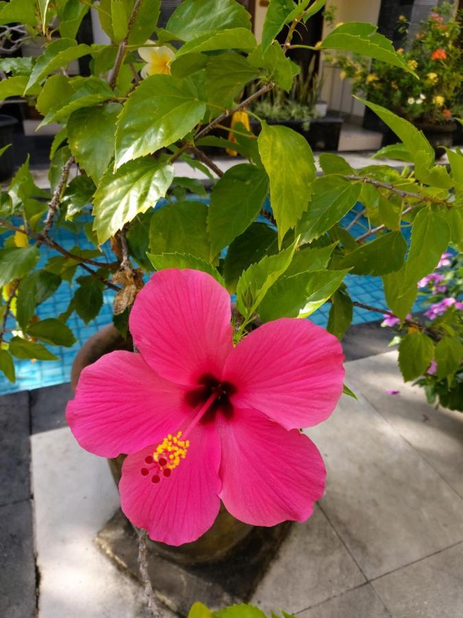Radha Bali Hotel Kuta  Exterior photo